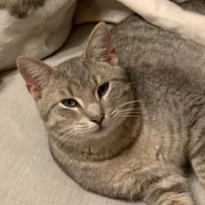 Meet your Posher, Kacie